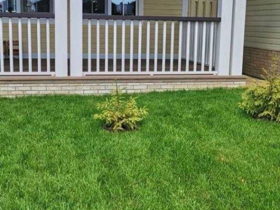 два дома по цене одного!!! Совиньон, бассейн Одесса