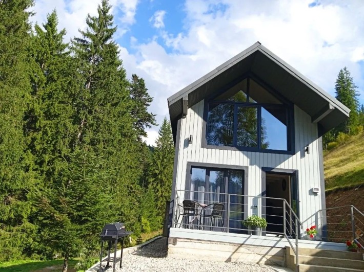 Садиба Перлина Гір с.Яблуниця - фото 1