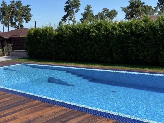 Оренда будинка 600м2 30 соток басейн, гостьовий буд Козин Конча-Заспа Козин