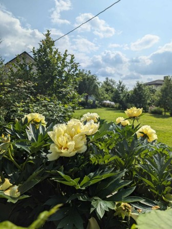 Здаеться будинок с Дмитрівка - фото 1