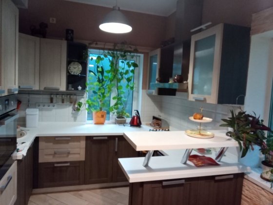 Здам теплий газовий будинок, Погреби, 25 соток, довгостроково Погреби