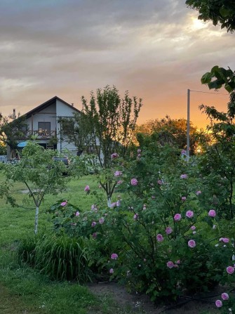 Оренда еко-мешкання з балконом і видом р.Десна (з генератором,Wi Fi) - фото 1