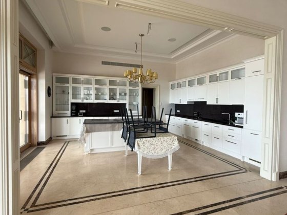 Видео! Роскошный особняк в элитном поселке Сосновый Берег Лески (Одесская обл.)