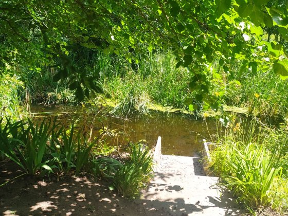 Загородный дом возле Черкасс Благодатне