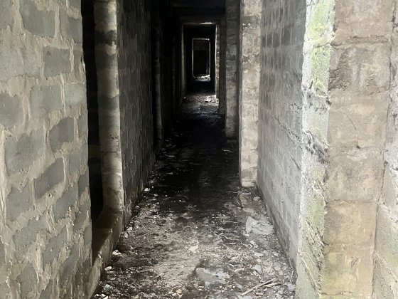 Сдам подвал на 40 комнат соколовка Запоріжжя