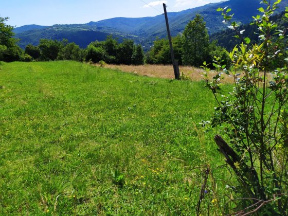 Земельна ділянка в Яремчі 0.12 га Яремче