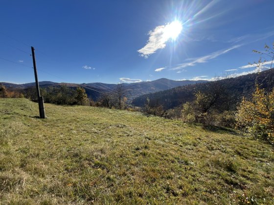 Земельна ділянка в Яремчі 0.12 га Яремче