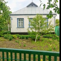 Продається затишний будинок в с. Житні Гори Білоцерківського району Київської обл Рокитне