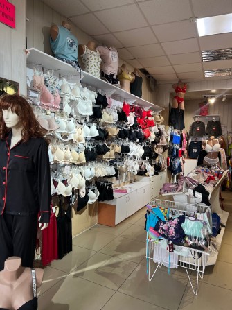 Продається готовий бізнес – магазин білизни, купальників та піжам. - фото 1