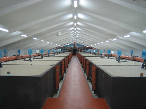 Комерційне приміщення: ангар, цех, ферма, виробництво, рибозавод. Хотин