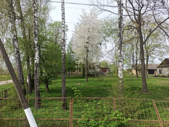 Складське приміщення,магазин Великий Чернятин Старокостянтинівський р Хмельницький