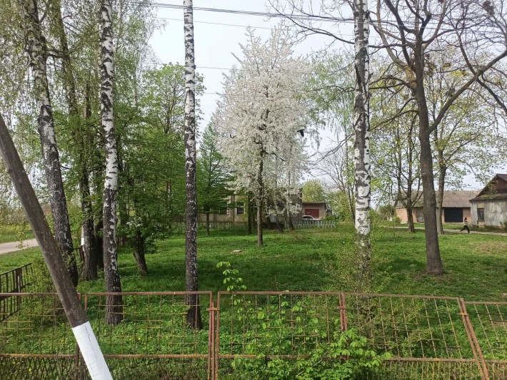 Складське приміщення,магазин Великий Чернятин Старокостянтинівський р - фото 1
