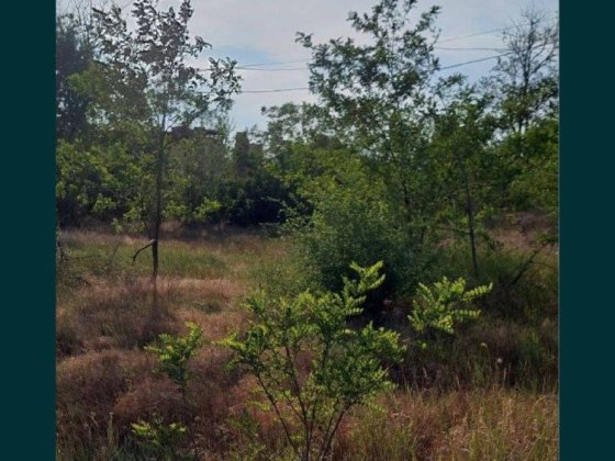 Продажа недвижимости нежилой  под  строительствр  новых объектов Кривой Рог