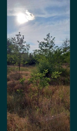 Продажа недвижимости нежилой  под  строительствр  новых объектов - фото 1