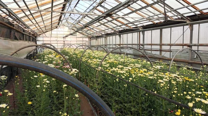 Продаж  працюючої  теплиці в м. СУМИ район вулиці Роменської - фото 1