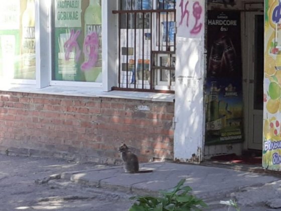 Терміново продаж  магазин Ж/М Покровский червона лінія Дніпро