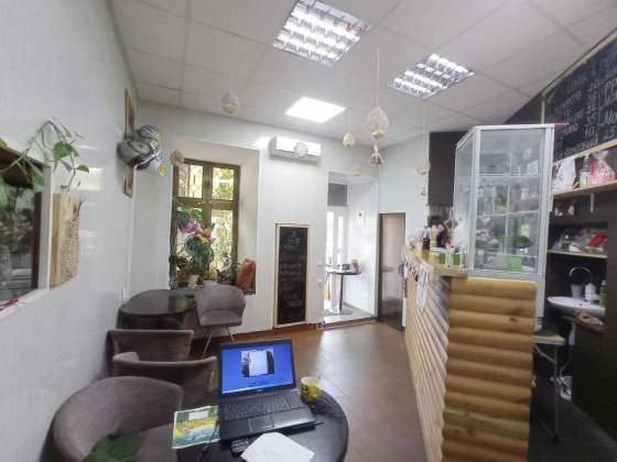 Помещение под коммерческую деятельность на Старопортофранковской. Одеса