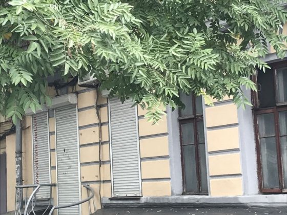 Идеальное помещение для бизнеса на  Мясоедовской! Одеса