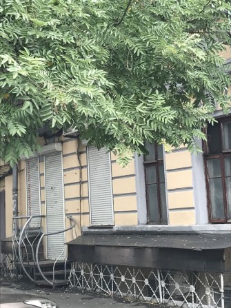 Идеальное помещение для бизнеса на  Мясоедовской! - фото 1