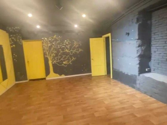 Продаж приміщення, цоколь, м. Палац України Киев