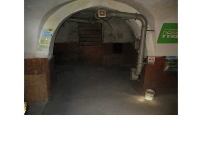 Нежиле підвальне приміщення, 51,9 кв. м, вул. Партизанська, 8 - фото 1