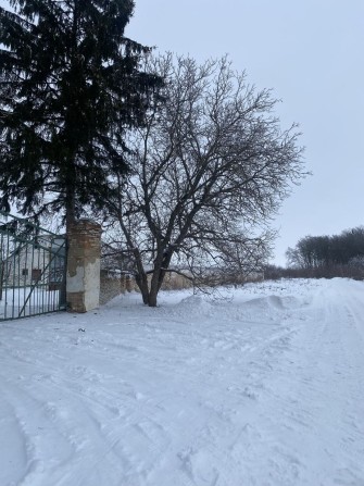 Продам склад Немирів , 1000 кв. м + - фото 1