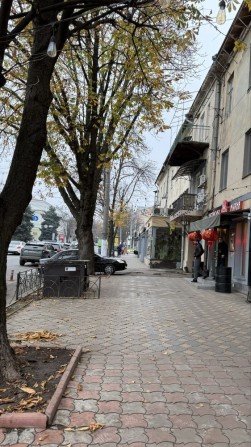 Коммерция в центре Бунина - фото 1