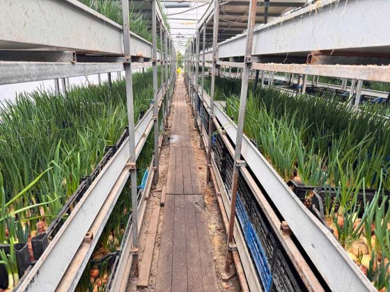 Продам  комплекс