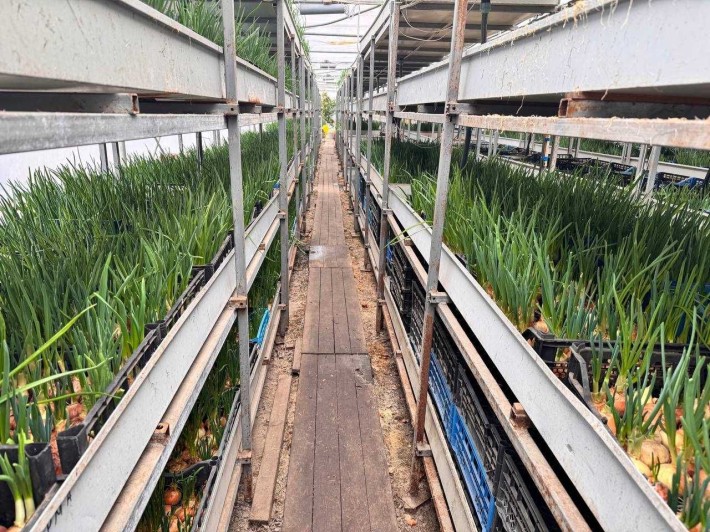 Продам  комплекс - фото 1