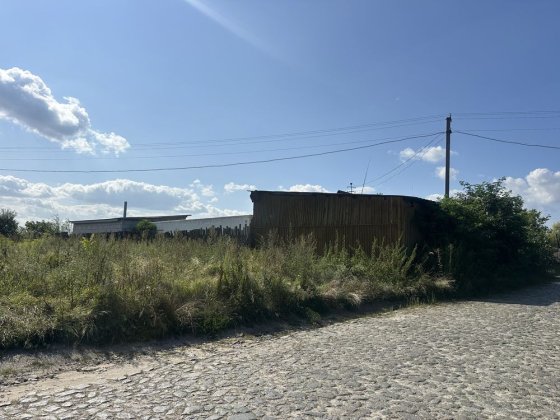 Ферма для відгодівлі свиней