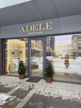 Продається готовий бізнес у місті Тячів - фото 1