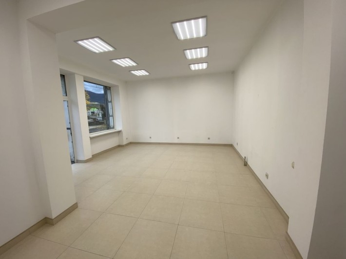 Комерційна нерухомість в центрі міста. - фото 1