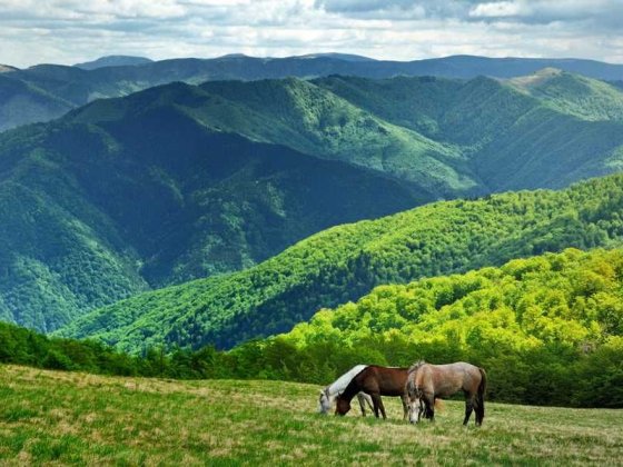 Діючий санаторій/ бізнес Закарпаття.Мінеральна+термальна вода.9000м.кв Велятино