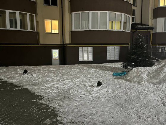 Комерційне приміщення,хол , приміщення під кафе або інший бізнес. Городок