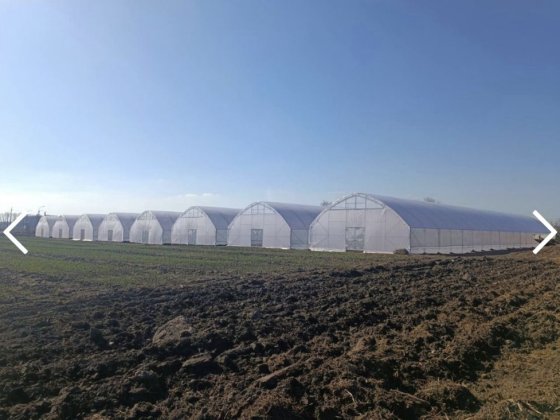 Продаж Майнового Тепличного комплексу с. Слобода Красная Слобода