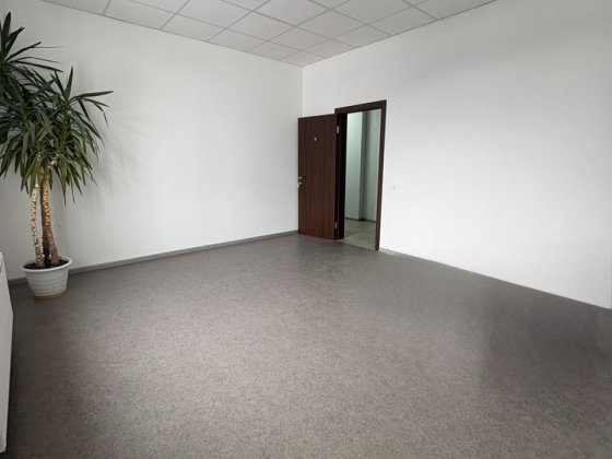 Нежитлове приміщення, 24кв.м. Васильків