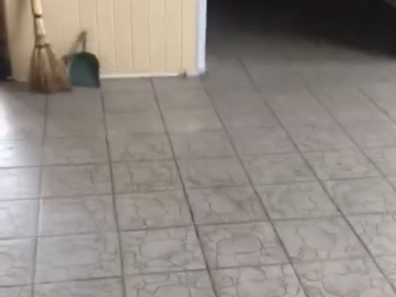 Сдам в аренду приміщення Зміїв