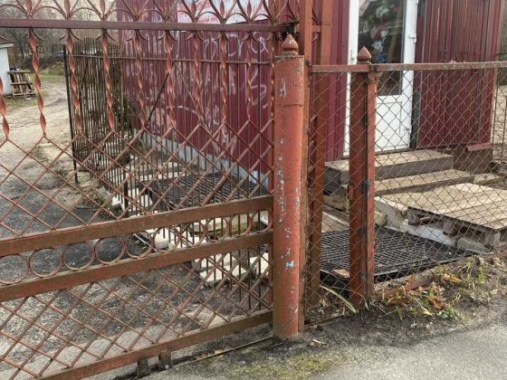 Здам в оренду комерційний вагончик Ковель