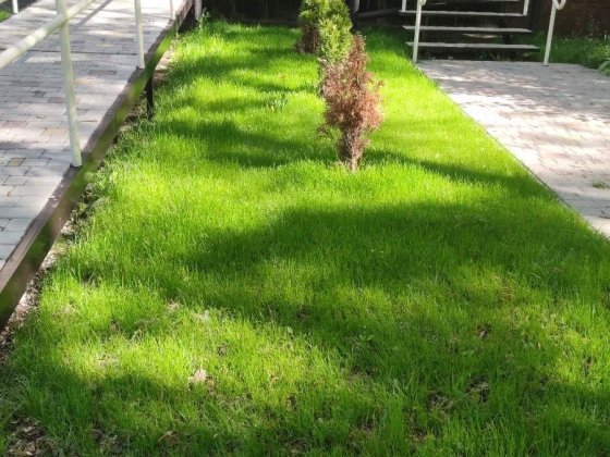 Здам приміщення в оренду. Лозовая