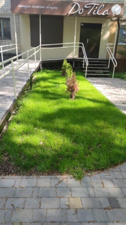 Здам приміщення в оренду. - фото 1