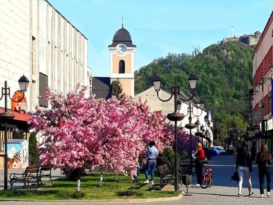 Здаєть в оренду приміщення Хуст