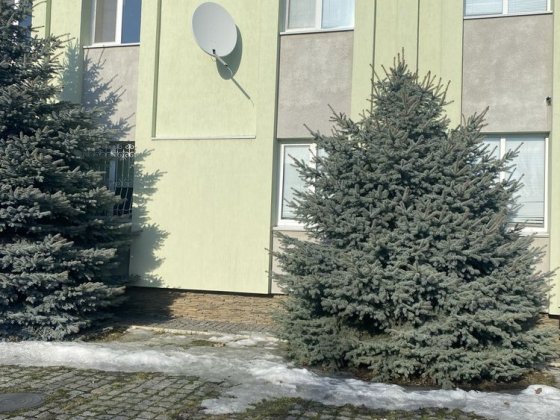 Здається в оренду офіс в Білій Церкві Біла Церква