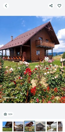 Карпатська модринка - фото 1