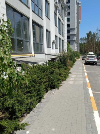 Оренда! Фасад. Окремий вхід. Канікули. - фото 1