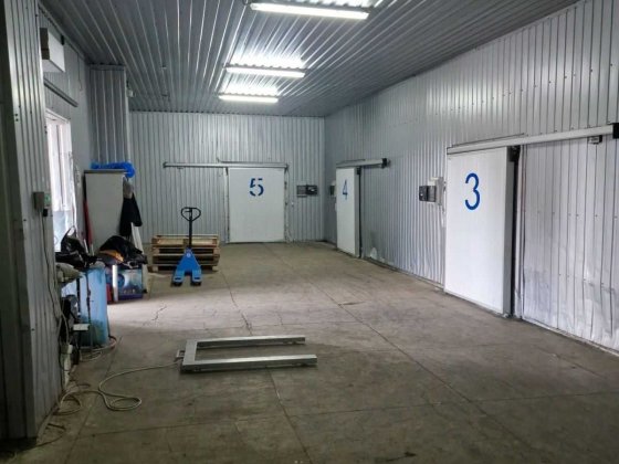 Здаються в оренду морозильні камери Луцьк