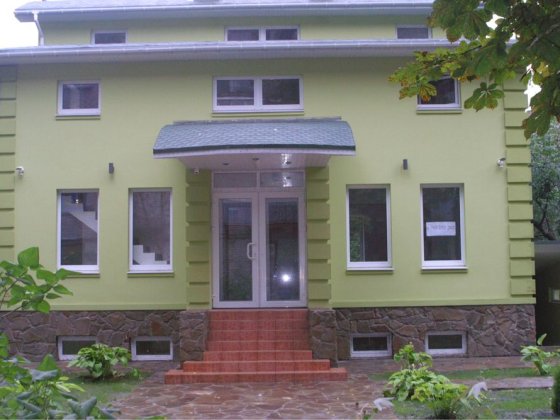 Окрема будівля по Пушкіна 7 Кременчук