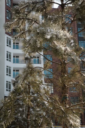 Оренда просторого приміщення під магазин. Синергія - фото 1