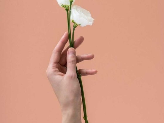 Оренда кабінету погодинно в салоні краси/ чи по дням Тернопіль