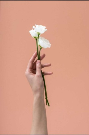 Оренда кабінету погодинно в салоні краси/ чи по дням - фото 1