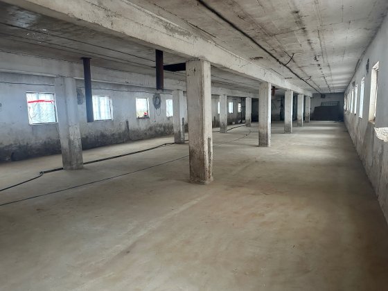 Здається в оренду Чернівці